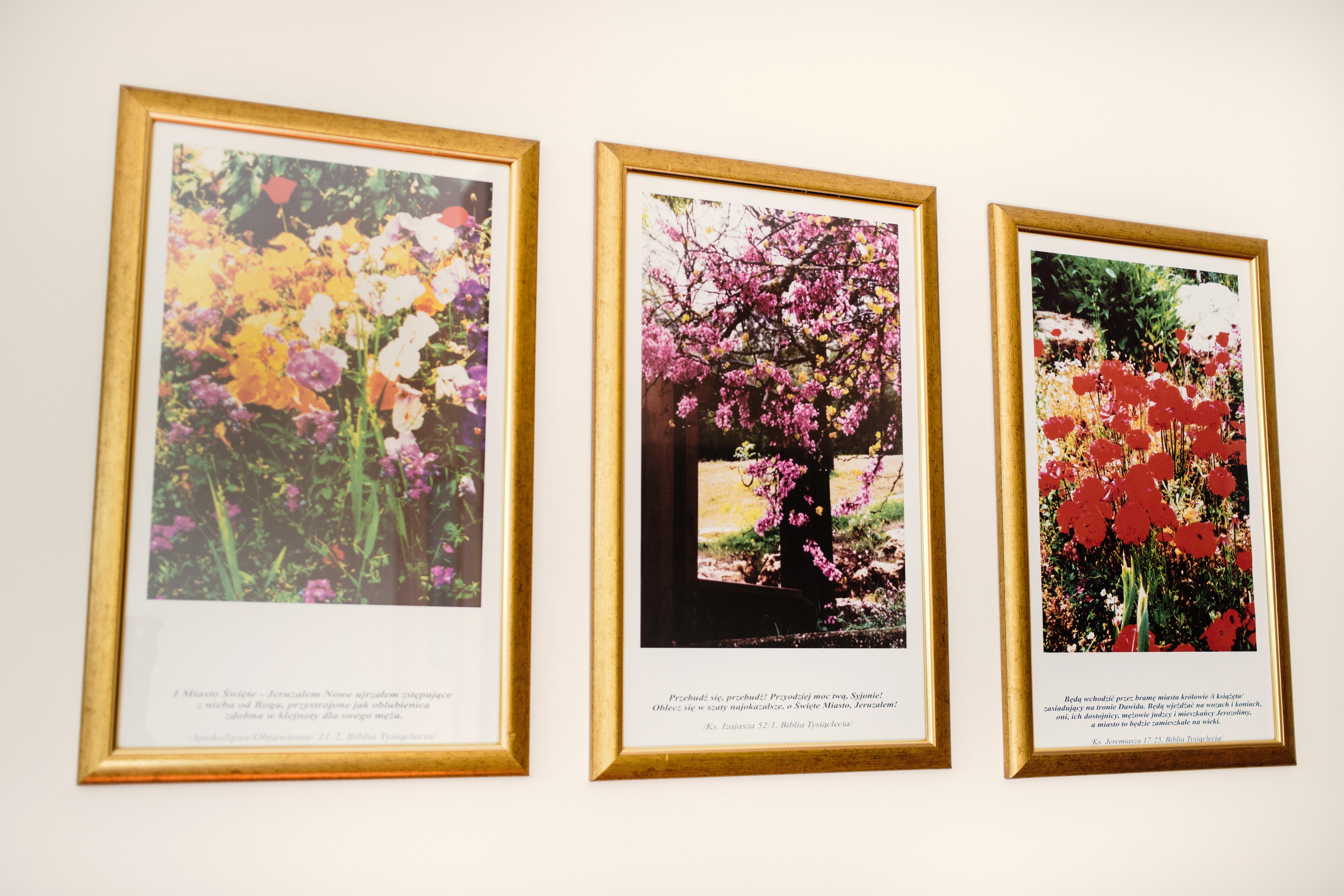 Hotel Eden คราคูฟ ภายนอก รูปภาพ